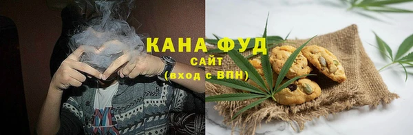 прущий лед Алзамай