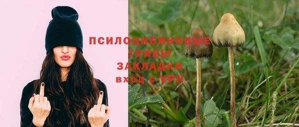 твердый Покачи