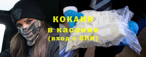 прущий лед Алзамай