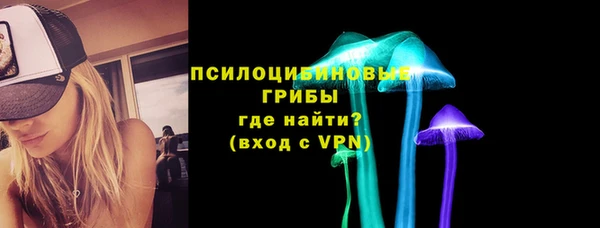 PSILOCYBIN Покров