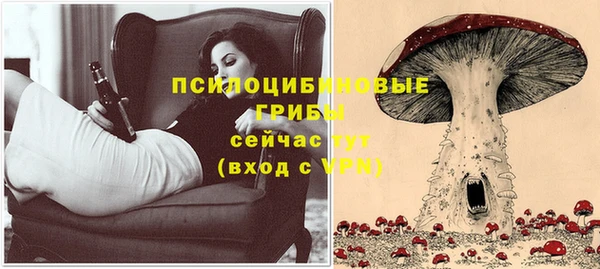 первитин Армянск