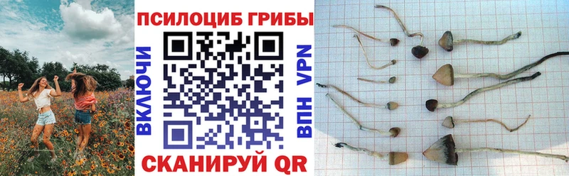 Галлюциногенные грибы Magic Shrooms  Бокситогорск 
