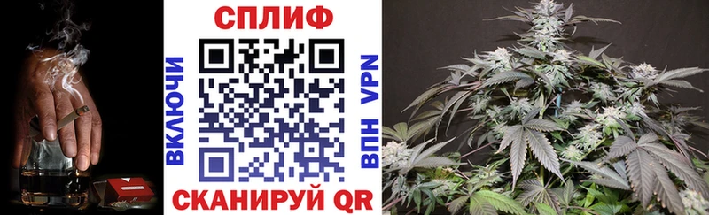 Бошки марихуана Amnesia  Бокситогорск 